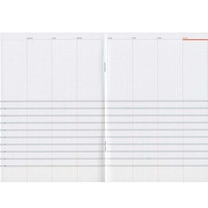 Luddite Function Notebook - Parallel Planner