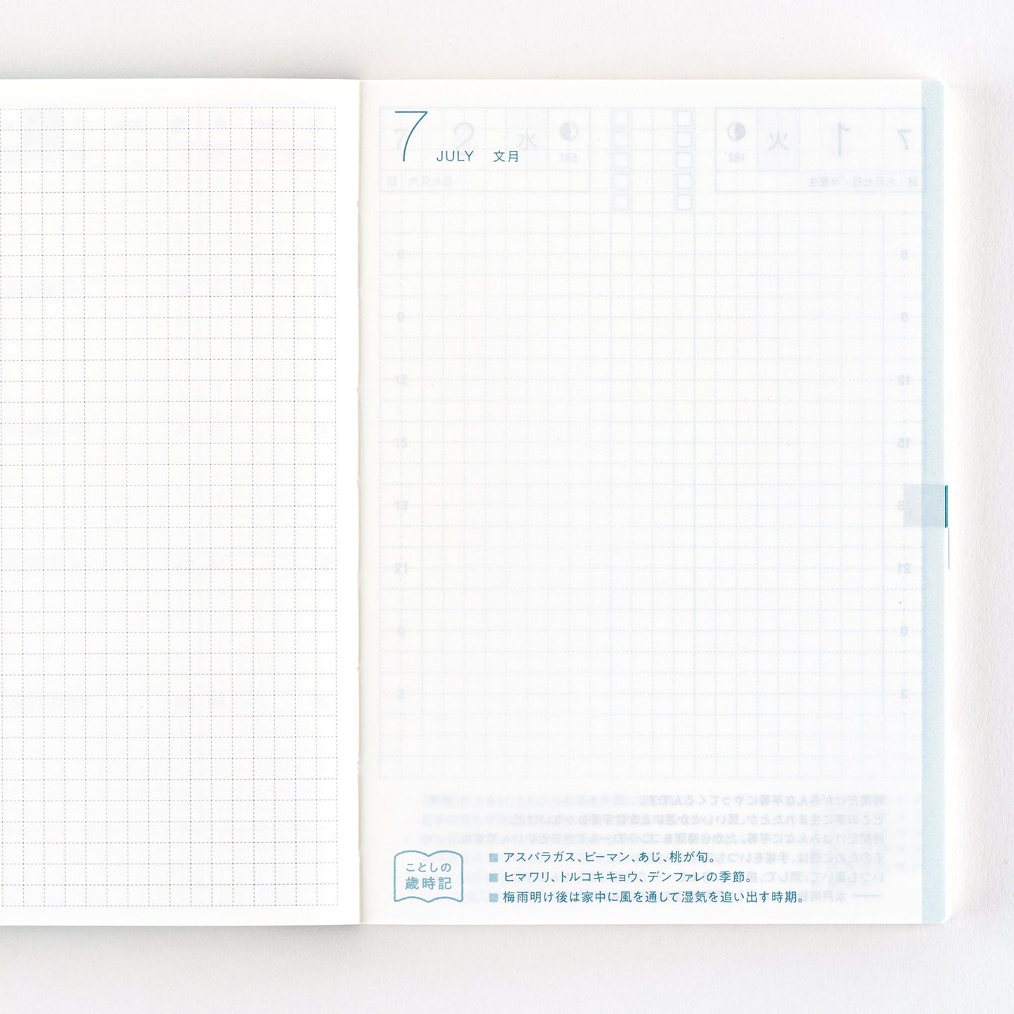 Hobonichi 2025 A6 Techo Avec Books (Jan start/Mon start) (Japanese)