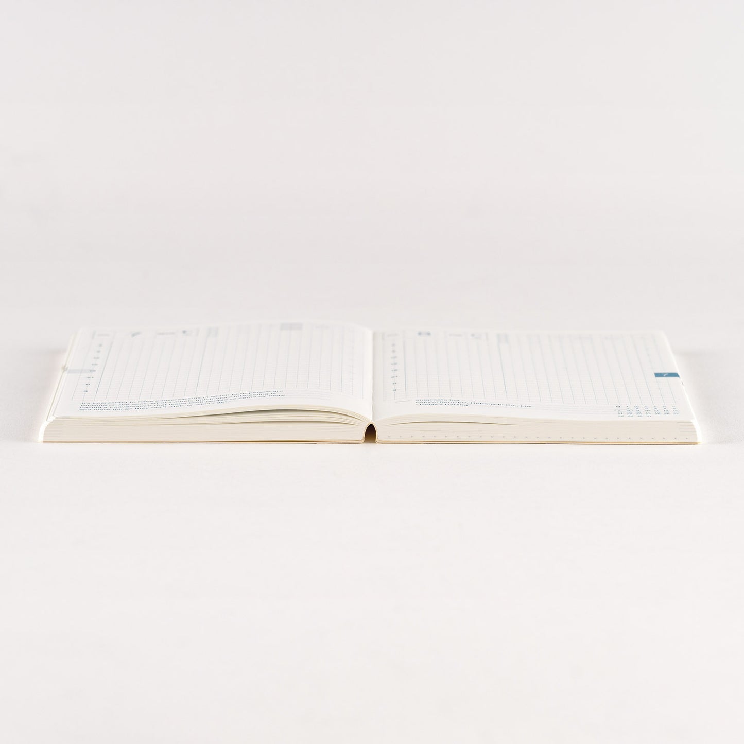 Hobonichi 2025 A6 Techo Original Book - English