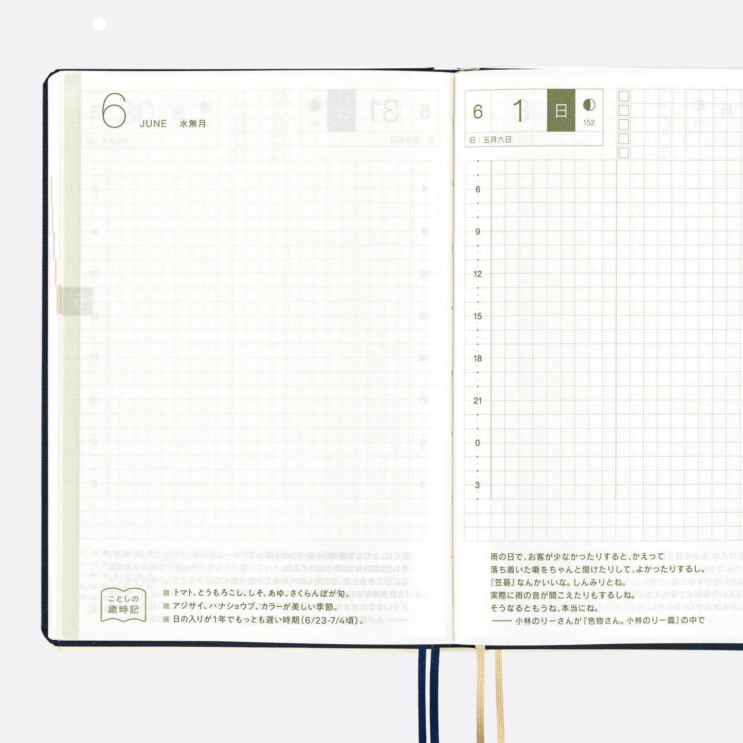 Hobonichi HON 2025 A6 Techo Hardcover Book - Slash (Navy)