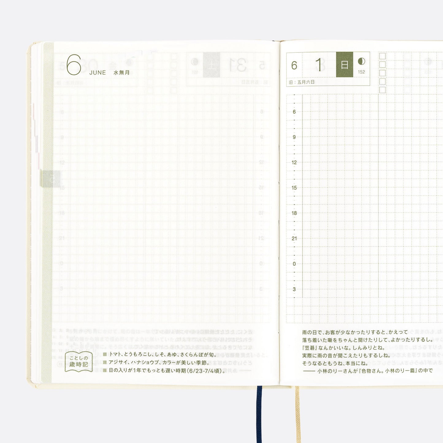 Hobonichi HON 2025 A6 Techo Hardcover Book - Slash (Ivory)