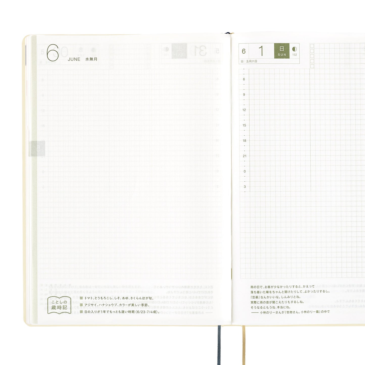 Hobonichi HON 2025 A5 Techo Hardcover Book - Slash (Ivory)