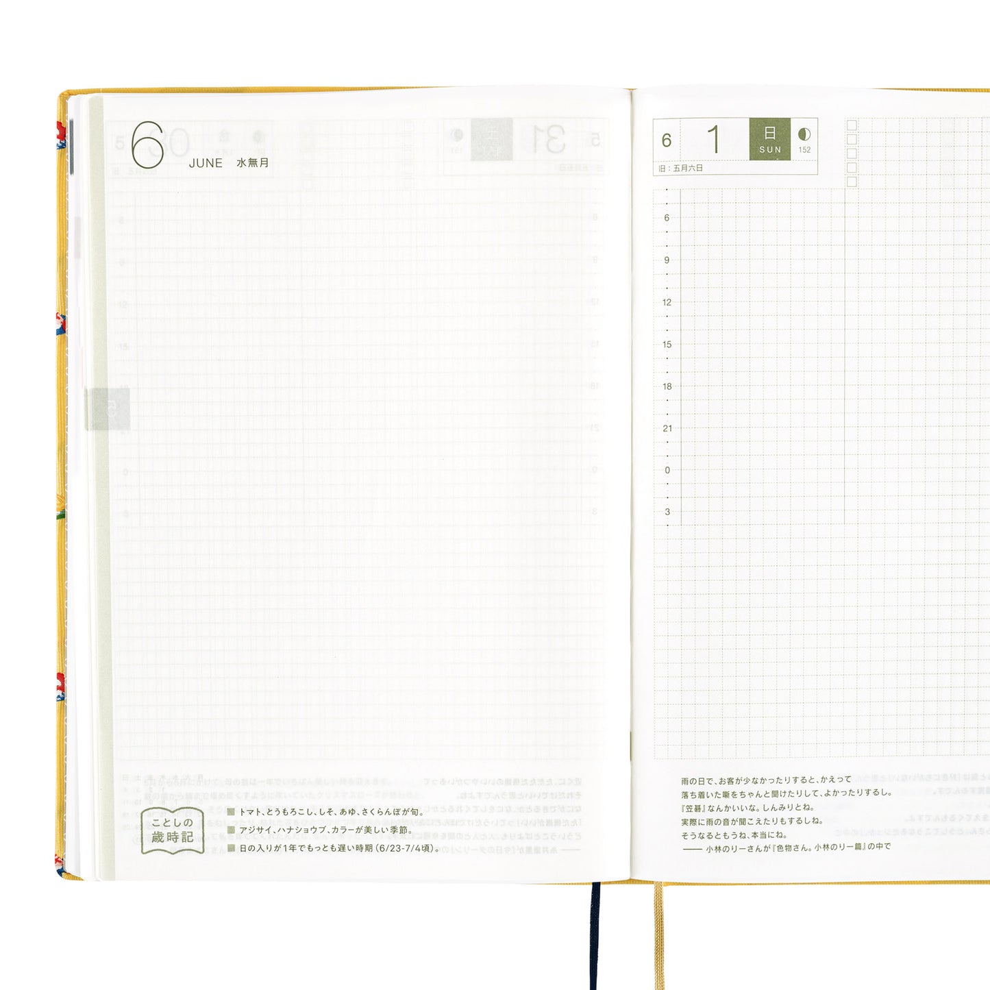 Hobonichi HON 2025 A5 Techo Hardcover Book - Bow & Tie: Sushi