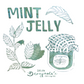 Sailor Mint Jelly (20ml) Bottled Ink (Dromgoole's Exclusive)