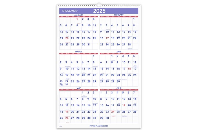 AT-A-GLANCE 2025 Dated Wall Calendar - 15" x 22"