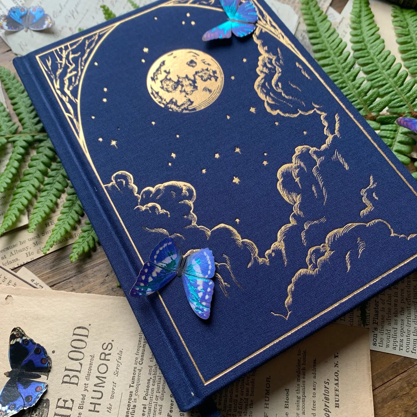 Creeping Moon: The Astronomer - B6 Blank Notebook