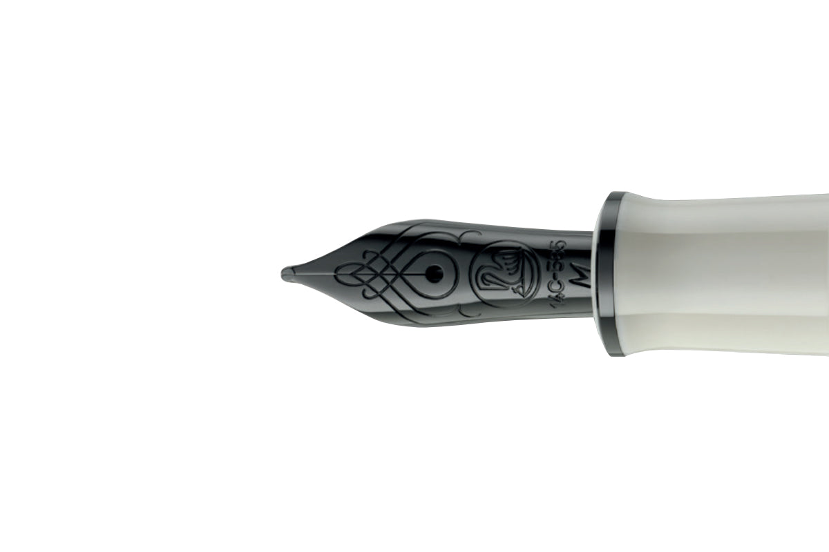 Pelikan Souverän M670 Fountain Pen - Warm Grey (Special Edition)