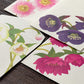 Midori Four Designs Envelope - Christmas Rose