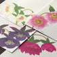 Midori Four Designs Message Letterpad - Christmas Rose