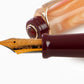 Aurora Oceania Fountain Pen with Rose Gold Trim (Limited Edition)