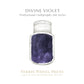 Ferris Wheel Press Divine Violet Calligraphy (28ml) Bottled Ink