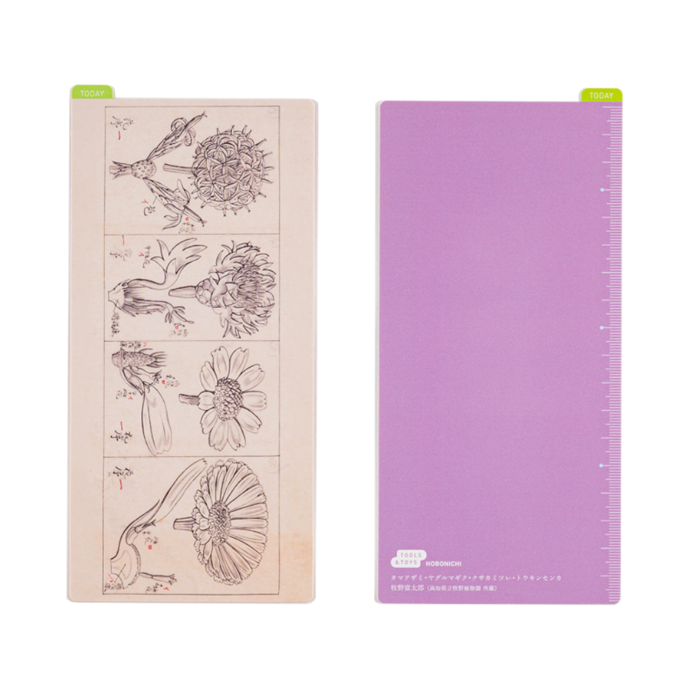 Hobonichi Weeks Pencil Board - Tomitaro Makino (Tomitaro Makino)