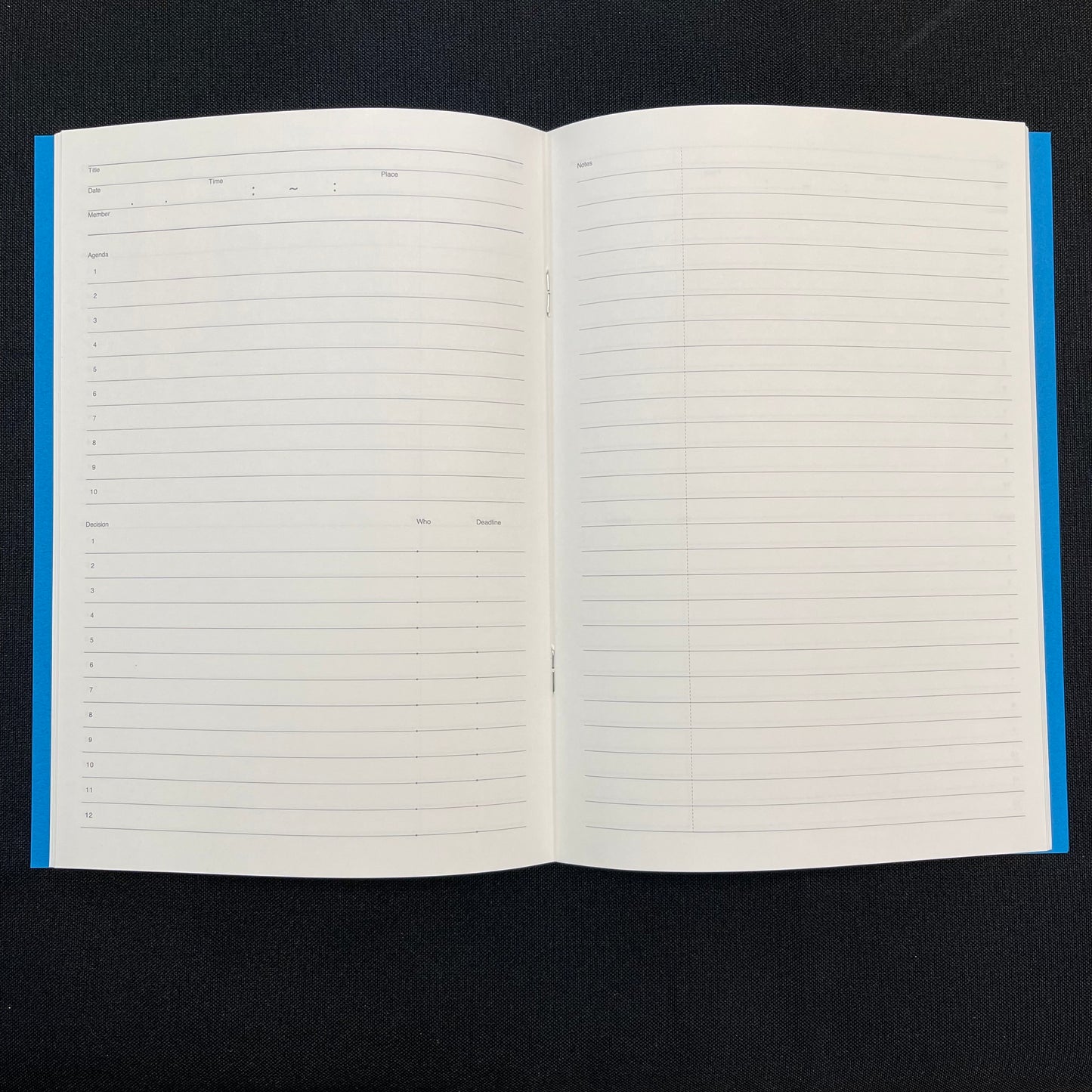 Luddite Function Notebook - Meeting Notes (Turquoise)