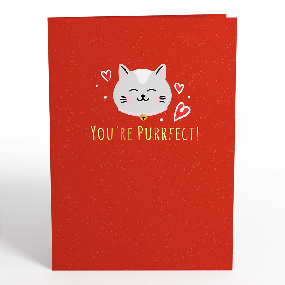 Lovepop Pop-Up Card - Love Cats