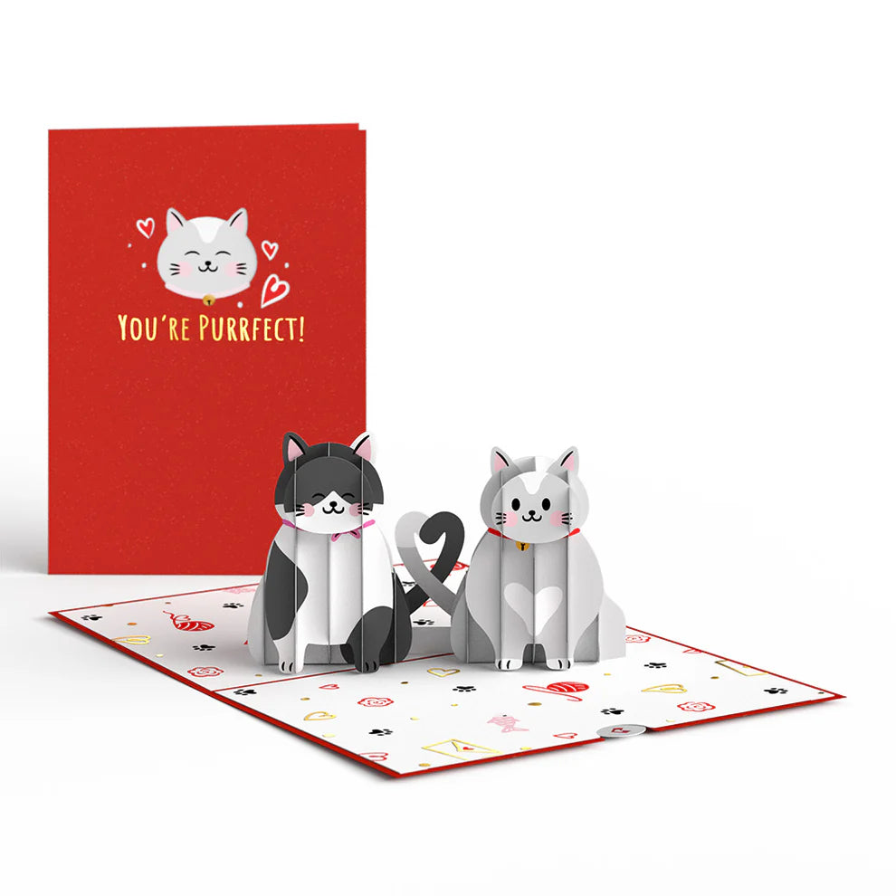 Lovepop Pop-Up Card - Love Cats