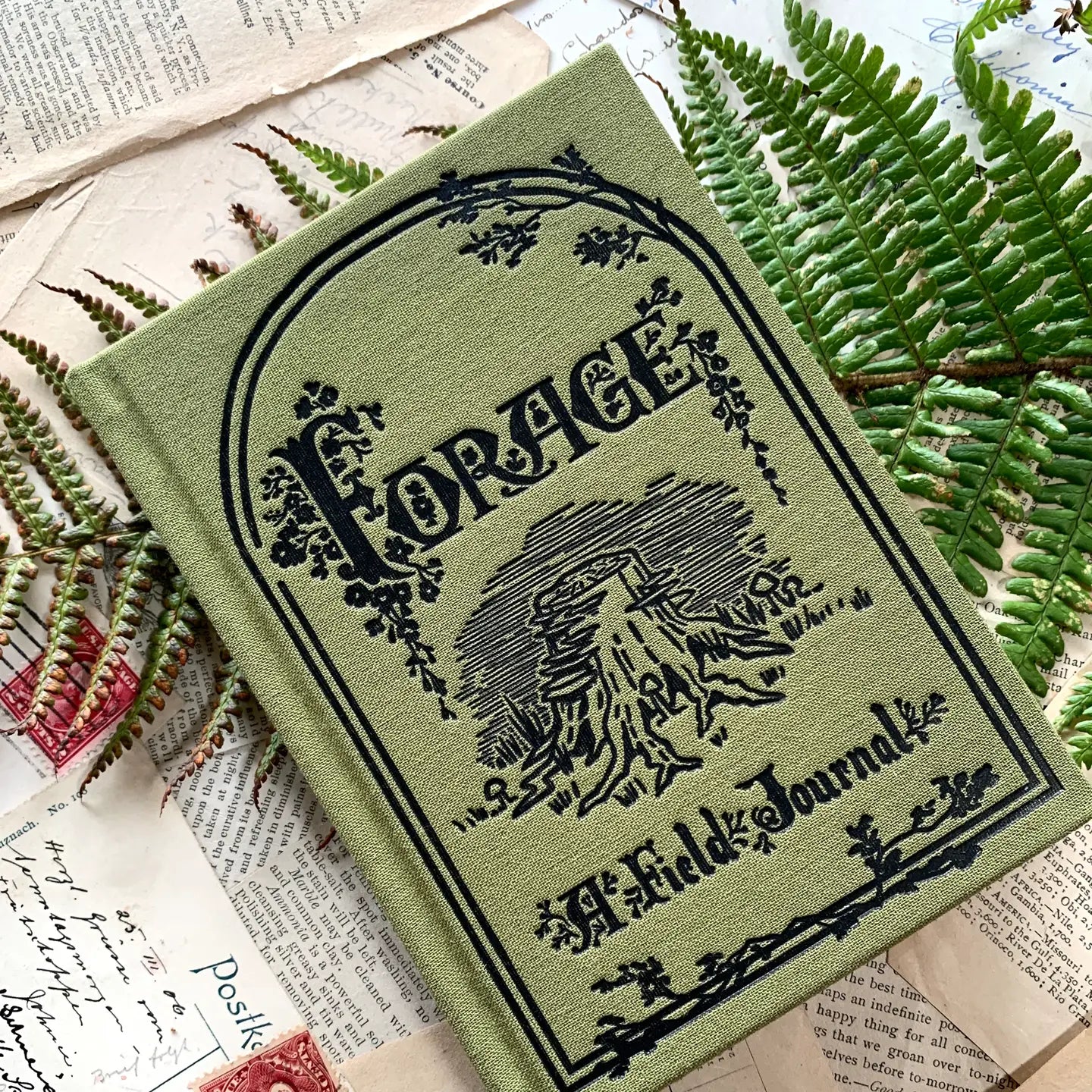 Creeping Moon: Green Foraging A6 Field Journal