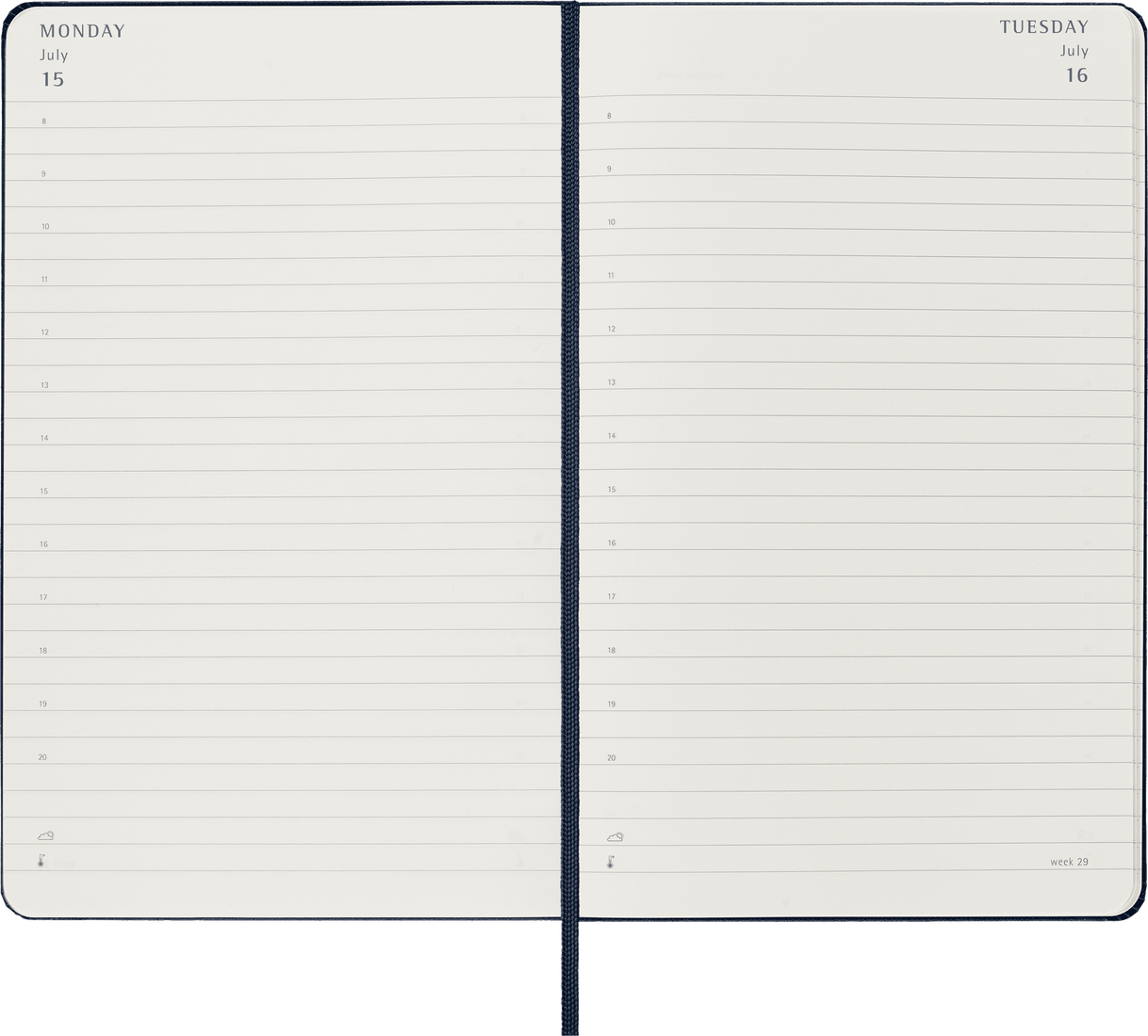 Moleskine 2024 Hardcover Diary - Daily, Large, Black