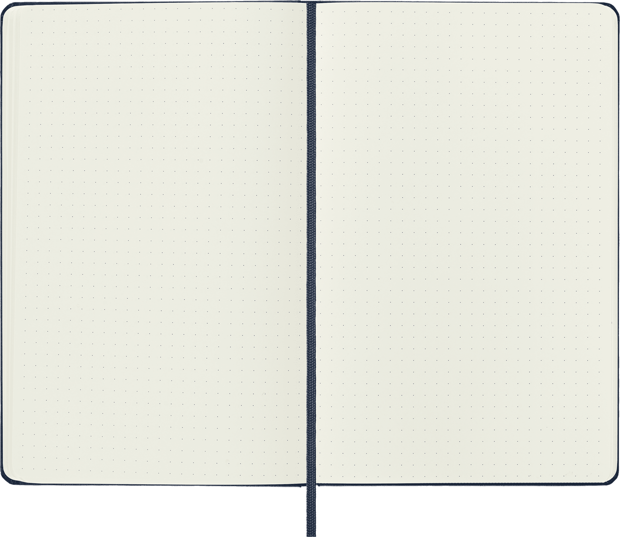 Moleskine Large Hardcover Classic Dotted Notebook - Sapphire Blue