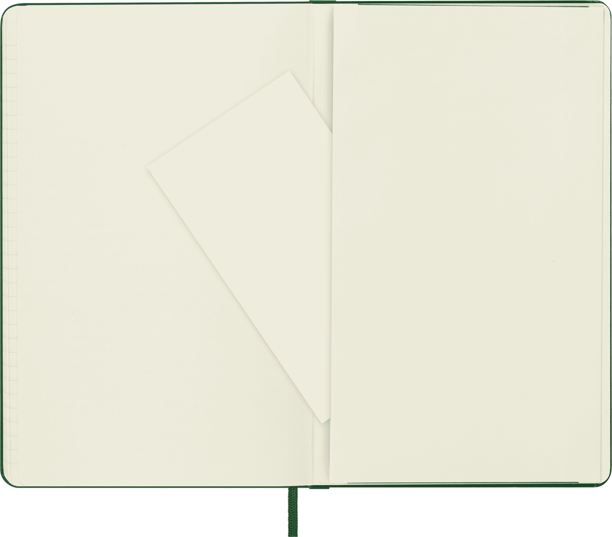 Moleskine Large Hardcover Classic Ruled Notebook - Myrtle Green