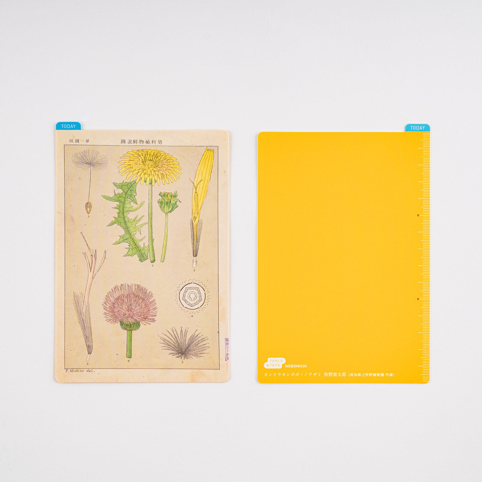 Hobonichi Pencil Board - A6 - Tomitaro Makino