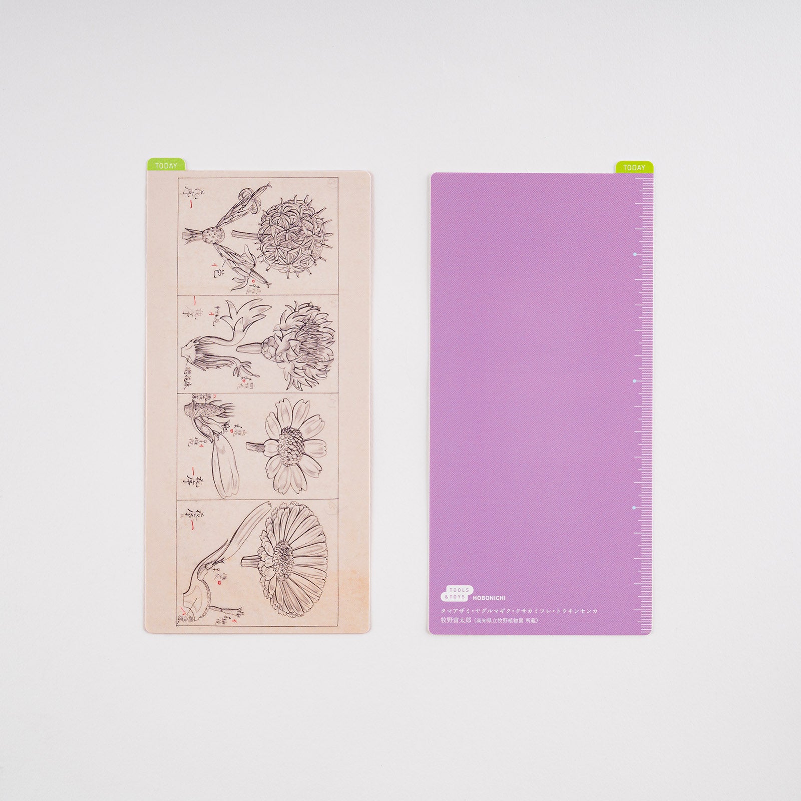 Hobonichi Pencil Board - Hiroko Kubota Weeks (Twinkle-shells)