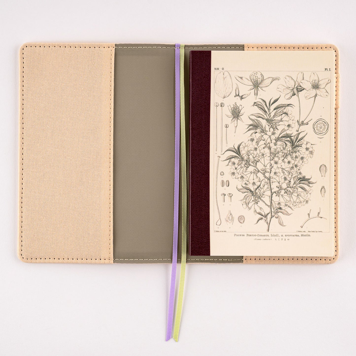 Hobonichi A6 Techo Plain Notebook - Yamazakura