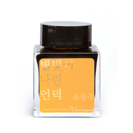 Wearingeul A Star Spattered Hill (30ml) Bottled Ink (Glistening)